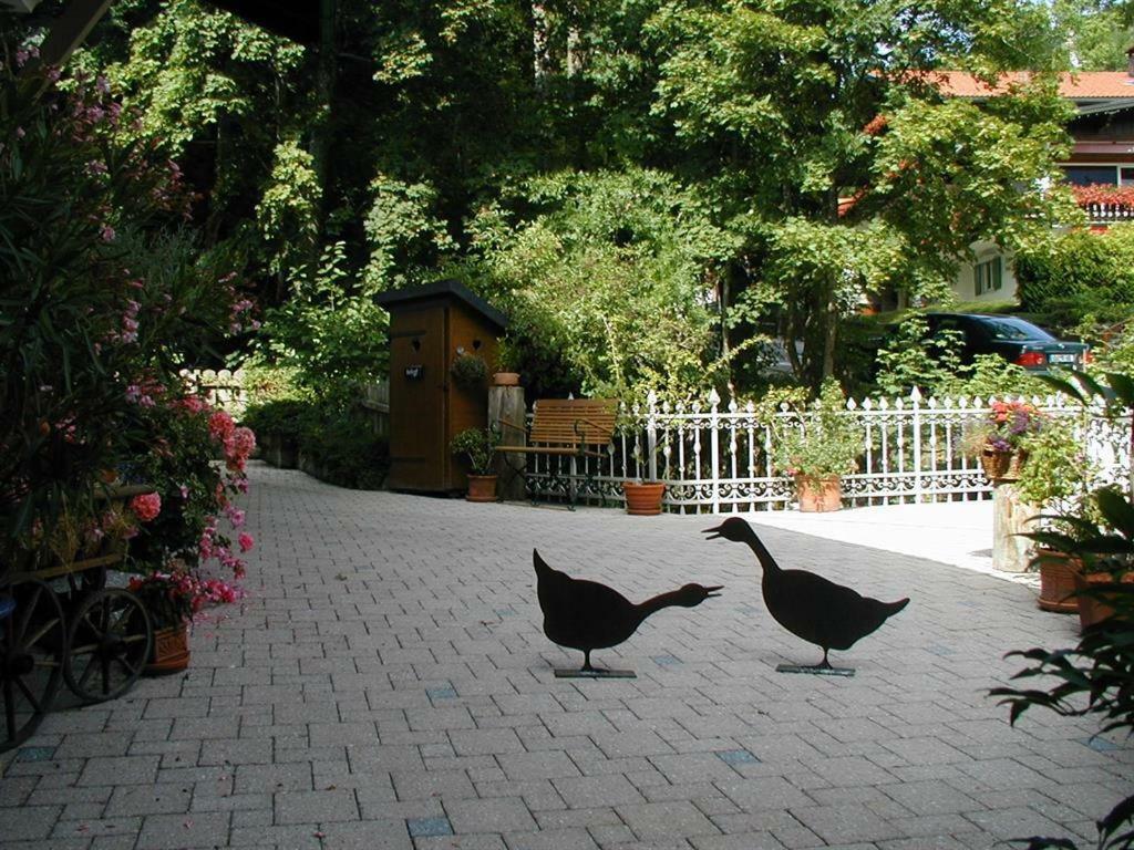 Haus Wildbachtobel Apartment Bad Hindelang Exterior photo
